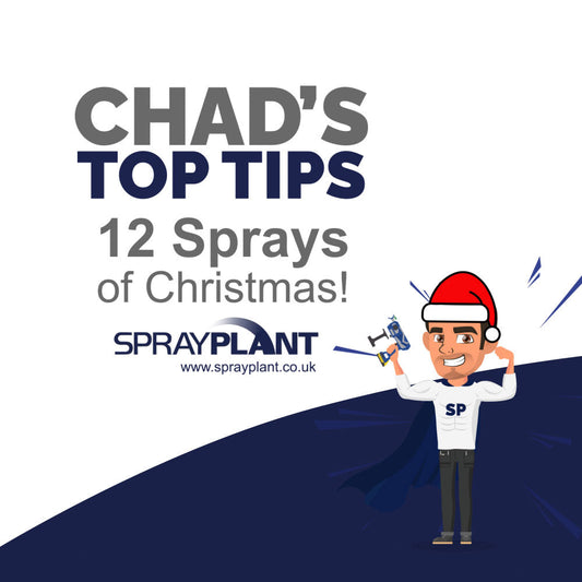 The Twelve Sprays of Christmas