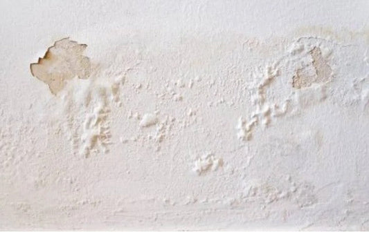 Chad's Tips: Why is my paint finish poor?